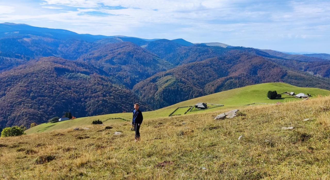 Eden Natural Resort - Transalpina Capalna Eksteriør billede