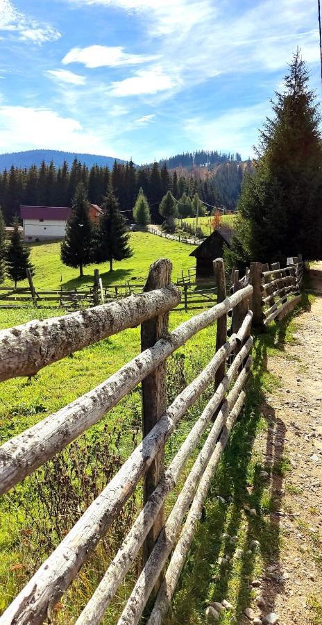 Eden Natural Resort - Transalpina Capalna Eksteriør billede