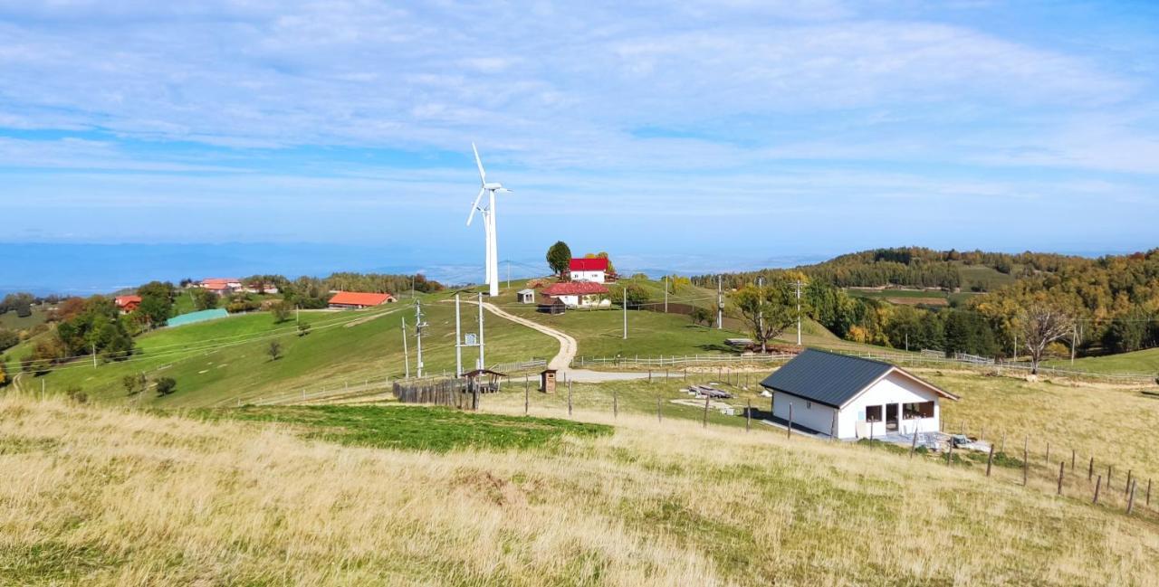 Eden Natural Resort - Transalpina Capalna Eksteriør billede