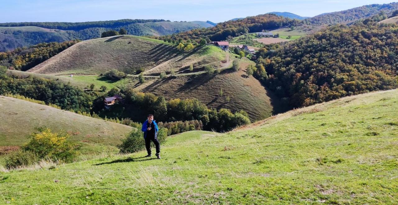 Eden Natural Resort - Transalpina Capalna Eksteriør billede